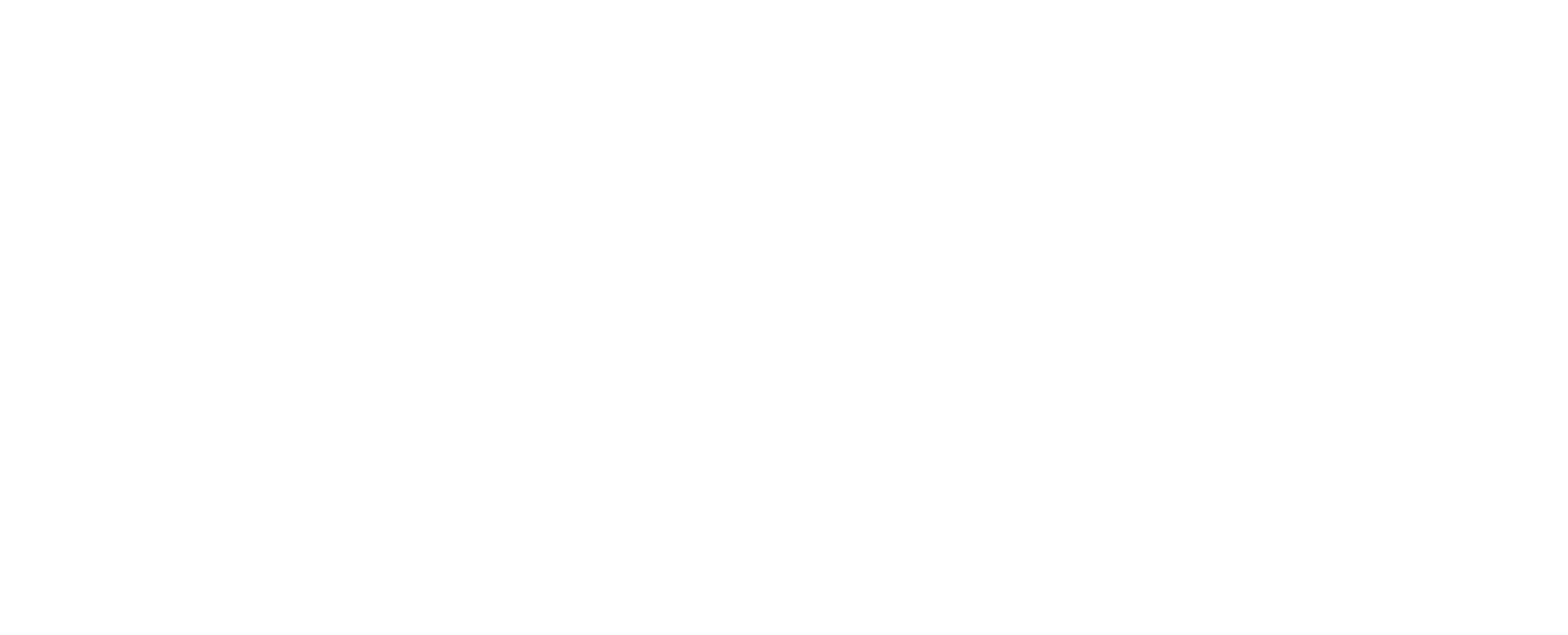 Prime Soft Technology